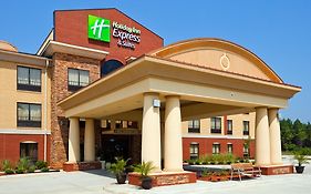 Greenville al Holiday Inn Express